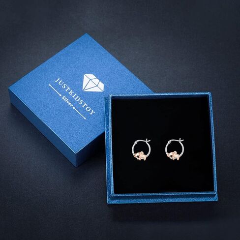 925 Sterling Silver Small Hoop Earrings for Sensitive Ears Cute Animal Jewelry Gifts for Women Daughter in Kuwait