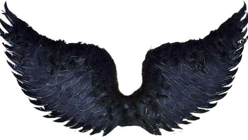 Dark Angel Wings 23 1/2" x 32" 1 Pc in Saudi Arabia