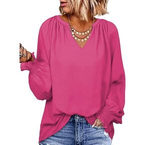 Zeagoo Casual Tops for Women 2023 Puff Long Sleeve Pleated V Neck Tunic Loose Fit Ladies Work Blouse