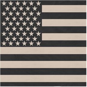 Rothco Subdued US Flag Bandana