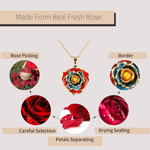 OLEKURT قلادة وردية هدايا للنساء، مجوهرات قلادة متدلية من الذهب الحقيقي عيار 24 قيراط - أفضل هدية لزوجتها وأمها والذكرى السنوية لعيد الحب وأعياد الميلاد والمناسبات الخاصة in Kuwait