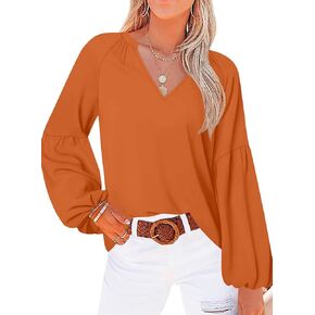 XUZHU Women's Casual Tunic Tops V Neck Fall Winter Blouse Long Sleeve Loose Fit Tee Shirts