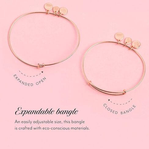 Alex and Ani Mantras + سوار ملهم قابل للتوسيع للنساء، سحر مبارك، لمسة نهائية من الذهب الوردي اللامع، من 2 إلى 3.5 بوصة، A18WAP04SR in Kuwait