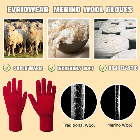 قفازات Evridwear للرجال والنساء من صوف ميرينو ببطانة دافئة بأربعة مقاسات وألوان in Kuwait