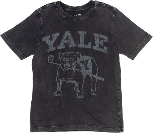 مجموعة من 2 تي شيرتات برسومات جامعة ييل من الأطفال الصغار إلى الأطفال الكبار in Kuwait