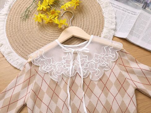 Elerevyo Detachable Fake Collar, Semi-Sheer Embroidery Mini Cape Choker Neck Ruff Dickey Collar for Women Blouse in Kuwait