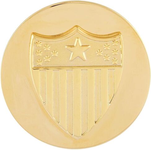 MEDALS OF AMERICA EST. 1976 Army Adjutant General Branch Insignia with US Insignia in Saudi Arabia