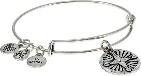 Alex and Ani Path of Symbols Expandable Bangle for Women, Compass Charm, Rafaelian Silver Finish, 2 to 3.5 inches (A21EBCMPSRS) in Saudi Arabia