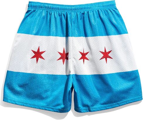 Chalk Line Chicago Flag Blue Retro Shorts in Kuwait