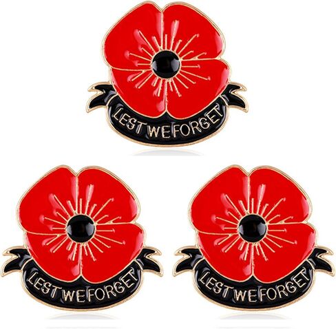 ايه جي ار 8 تي 3 قطع من بروش المينا بتصميم زهرة الخشخاش الحمراء هدية ذكرى يوم الذكرى in Kuwait