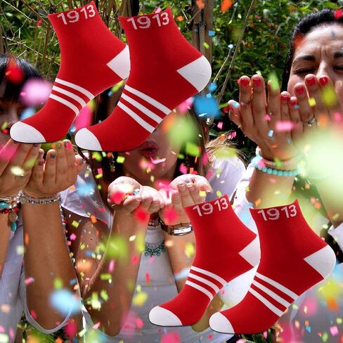 LEVLO Sister Sorority Socks 1913 Sorority Sister Socks Gift Friend Sister Birthday Socks in Kuwait