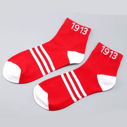 LEVLO Sister Sorority Socks 1913 Sorority Sister Socks Gift Friend Sister Birthday Socks in Kuwait