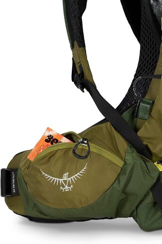 حقيبة ظهر Osprey Atmos AG LT 50L للرجال، حقيبة ظهر للرجال، Scenic Valley/Green Peppercorn، L/XL in Kuwait