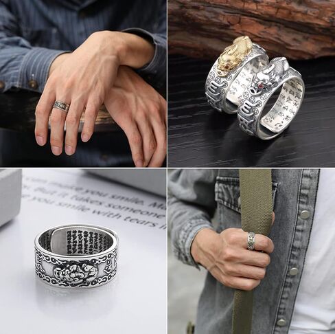 Jewdreamer 9 Pieces Feng Shui Ring Pixiu Buddhist Lucky Rings Amulet Mantra Double Protection Wealth Ring For Men Women Garnet Ring Adjustable Jewelry in Saudi Arabia