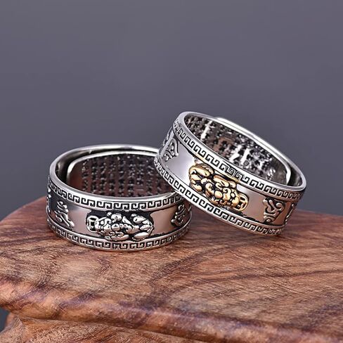 Jewdreamer 9 Pieces Feng Shui Ring Pixiu Buddhist Lucky Rings Amulet Mantra Double Protection Wealth Ring For Men Women Garnet Ring Adjustable Jewelry in Saudi Arabia