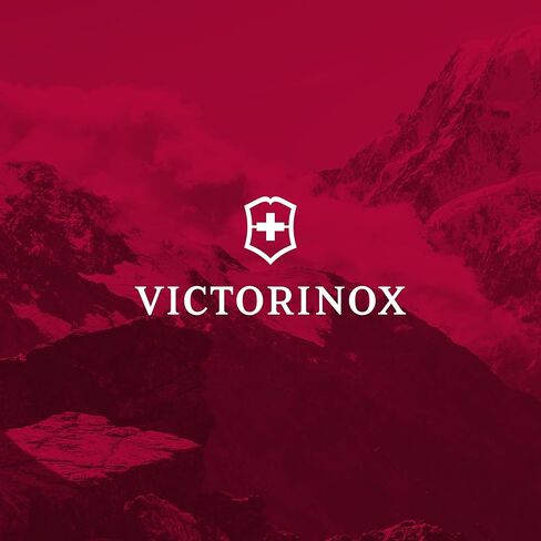 حقيبة ظهر للكمبيوتر المحمول Victorinox Touring 2.0 مقاس 15 بوصة باللون الرمادي الفاتح in Saudi Arabia