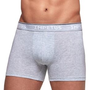 IMPETUS Certified Organic Cotton Boxer Brief Underwear