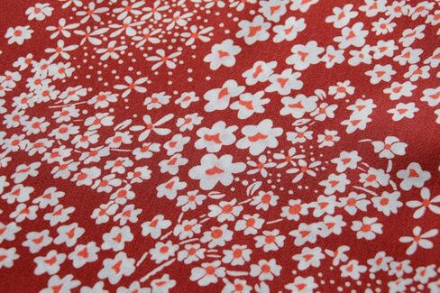 بلوزات حريمي من miduo بأكمام طويلة ورقبة على شكل حرف V مطبوع عليها زهور وبلوزات كاجوال فضفاضة in Kuwait