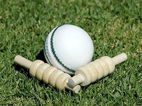 AnNafi® White Cricket Ball | White Color Leather Cricket Balls For Practice A Grade Handstitched | Senior Official Hard & Seasoned |No Stamp For Indoor and Outdoor Practice & Training Cricket Ball (6) in Saudi Arabia