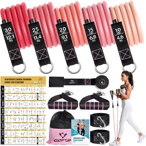 Resistance Bands with Handles for Women, 5 Level Exercise Bands Workout Bands for Physical Therapy, Yoga, Pilates, Door Anchor, Storage Pouch in Kuwait