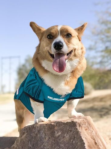 NFL Philadelphia Eagles Dog Jersey, Size: XX-Large. Best Football Jersey Costume for Dogs & Cats. Licensed Jersey Shirt. in Saudi Arabia