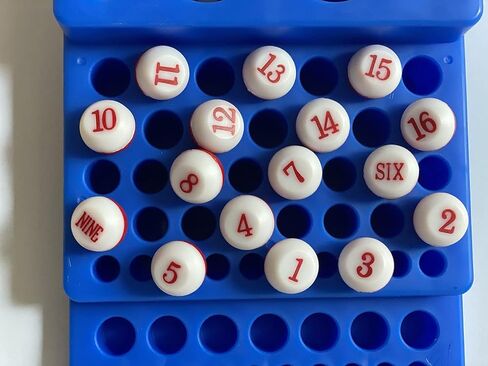 OESS Billiard Shaker Pool Snooker Table Games Kelly Pool Shaker Bottle with Red and White Tally Peas/Balls,and 2pcs Three-Fingers Billiard Gloves in Kuwait