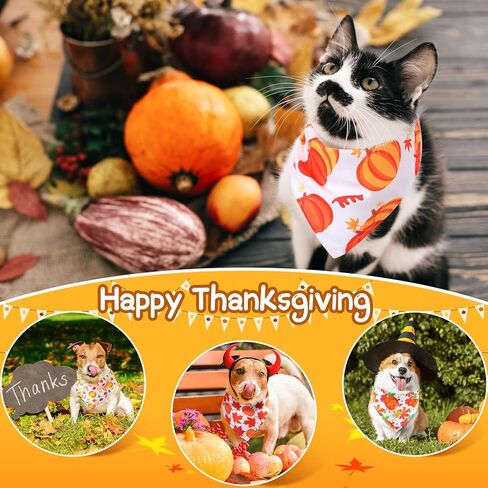 20 قطعة من عصابات الكلاب الخريفية السائبة لعيد الهالوين وعيد الشكر وعصابات الكلاب على شكل قرع تركيا مثلثة ومرايل قابلة للتعديل وشاح للحيوانات الأليفة ومنديل للعطلات للكلاب الصغيرة والمتوسطة والكبيرة والبنات الصبية (نمط اليقطين) in Kuwait