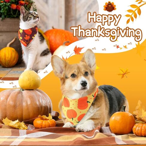 20 قطعة من عصابات الكلاب الخريفية السائبة لعيد الهالوين وعيد الشكر وعصابات الكلاب على شكل قرع تركيا مثلثة ومرايل قابلة للتعديل وشاح للحيوانات الأليفة ومنديل للعطلات للكلاب الصغيرة والمتوسطة والكبيرة والبنات الصبية (نمط اليقطين) in Kuwait