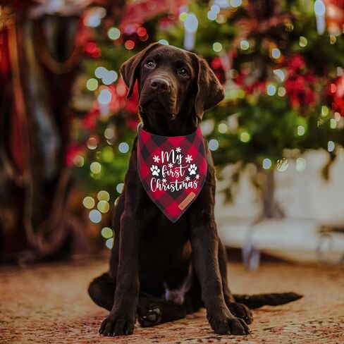 ADOGGYGO Christmas Dog Bandanas 2 Pack, Classic Plaid Xmas Pet Scarf, Premium Cotton Fabric, Multiple Sizes Offered, Dog First Christmas Bandanas for Small Medium Dogs Pets (Small, Style 1) in Kuwait