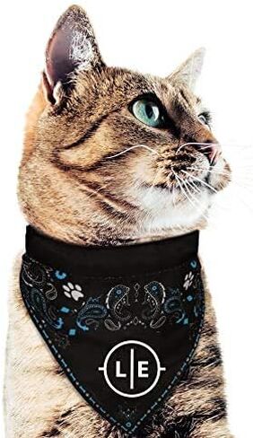 Littlearth NFL للجنسين الكبار باندانا للحيوانات الأليفة in Kuwait