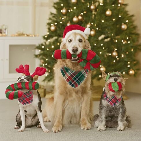 2PCS Fall Dog Bandana, Thanksgiving Dog Bandanas, Autumn Reversible Washable Plaid Triangle Bibs Scarf for Small Medium Large Pets Dogs Cats in Saudi Arabia