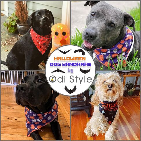 عصابات الهالوين للكلاب على طراز Odi مع علامة خدعة أو حلوى - عبوتان، أزياء الهالوين المطبوعة على شكل جاك أو فانوس للكلاب، ديكورات الهالوين، لافتة اليقطين، عصابات الخريف للكلاب الصغيرة والمتوسطة والكبيرة in Kuwait