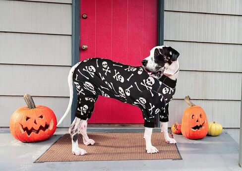 Dog Pajamas Halloween Dog Onesie Short Plush Dog Pjs Skull&Crossbones Super Soft and Stretchy Dog Jammies for Medium Dogs(M) Black in Saudi Arabia