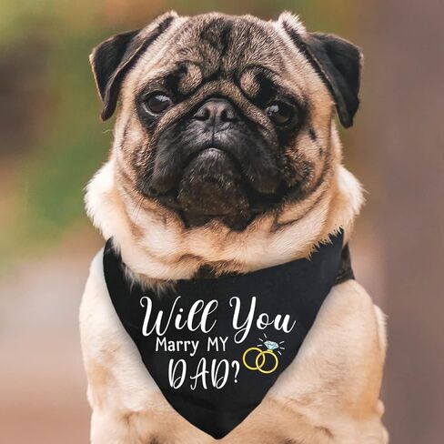 منديل زفاف للكلاب بعبارة «Will You Marry My Daddy Dog»، اعلان خطوبة الكلب، اكسسوارات وشاح للحيوانات الاليفة، اكسسوارات الحيوانات الاليفة لمحبي الكلاب، عبوة من قطعتين (اسود وابيض) in Kuwait