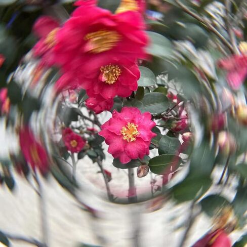 مرشح عدسة كاميرا الهاتف 58 ملم، عدسة كاميرا الهاتف، مرشحات تأثير كاميرا الدوامة، مرشح ND لهاتف iPhone 14/13/12/11 مع Android، والهواتف الذكية الأخرى in Kuwait