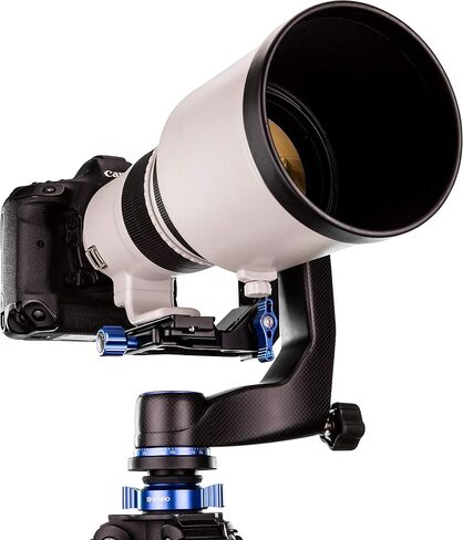 Benro Carbon Fiber Gimbal Head with PL100LW Plate (GH5C) in Saudi Arabia