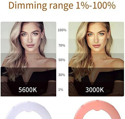 18 inch 65W LED Ring Light Mirror Make Up Beauty Light Studio Video Light Photography Lighting with Stand Bag for Portrait Selfie,Wedding Photography, Night Video,YouTube, Camera/Phone Video in Saudi Arabia