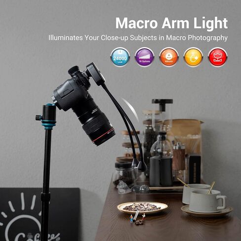 JJC 10" Long Portable Shoe-Mount LED Macro Arm Light | CRI 95+ 5600K,5 Level Adjustable,Flexible Fill Lights,USB-C,for Shooting Insects,Jewelry & More Close-up Macro Photography in Saudi Arabia