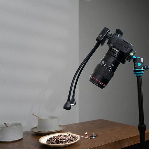 JJC 10" Long Portable Shoe-Mount LED Macro Arm Light | CRI 95+ 5600K,5 Level Adjustable,Flexible Fill Lights,USB-C,for Shooting Insects,Jewelry & More Close-up Macro Photography in Saudi Arabia