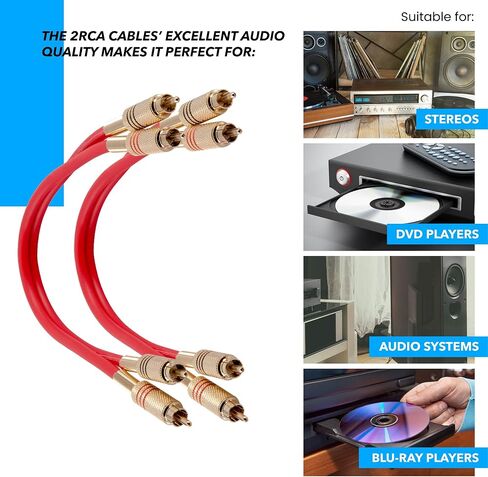 Seismic Audio Speakers Dual 2-RCA Audio Patch Cables, Male to Male, Black and Black in Saudi Arabia