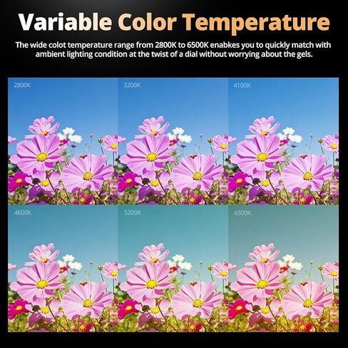 Godox ML60Bi ML60 Bi 60W Bi-Color LED Light Silent Mode Portable Brightness Adjustment Support Li-ion Outdoor LED Light with 2X NP970 Lithium Battery in Saudi Arabia