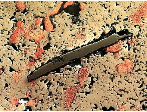 AmScope - 40X-800X Polarizing Metallurgical Microscope with Top and Bottom Lights + 18MP USB 3.0 Camera - ME580TA-PZ-2L-18M3 in Saudi Arabia