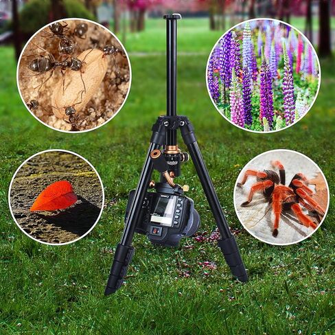 حامل ثلاثي للكاميرا من Riqiorod، حامل ثلاثي محمول، حامل ثلاثي للسفر 50 بوصة قابل للتمديد 360 درجة إمالة رأس كروية بانورامية لكاميرا DSLR Canon، Nikon، Sony..الهاتف الذكي iPhone Samsung، Vlog، YouTube in Kuwait