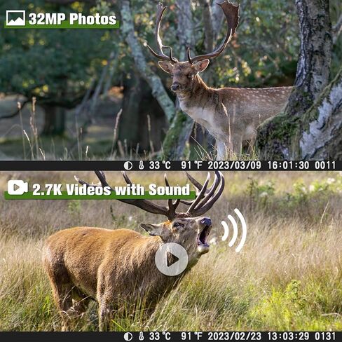 كاميرا Coolifepro Trail، كاميرات ألعاب بدقة 1520 بكسل بدقة 32 ميجابكسل مع رؤية ليلية تعمل بحركة الحركة المقاومة للماء IP66، تأتي كاميرا Trail مع 8 بطاريات AA وبطاقة 32 جيجابايت، وكاميرا غزال مع سرعة تشغيل 0.1 ثانية ومسافة 65 قدمًا in Kuwait