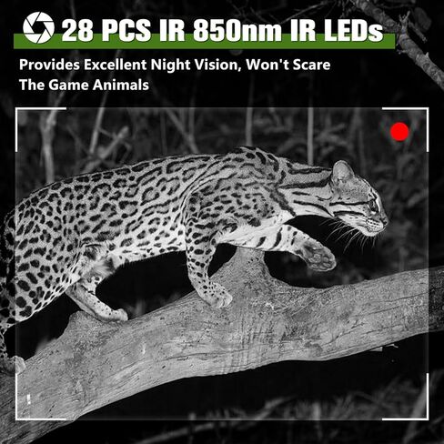 كاميرا Coolifepro Trail، كاميرات ألعاب بدقة 1520 بكسل بدقة 32 ميجابكسل مع رؤية ليلية تعمل بحركة الحركة المقاومة للماء IP66، تأتي كاميرا Trail مع 8 بطاريات AA وبطاقة 32 جيجابايت، وكاميرا غزال مع سرعة تشغيل 0.1 ثانية ومسافة 65 قدمًا in Kuwait