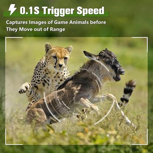 كاميرا Coolifepro Trail، كاميرات ألعاب بدقة 1520 بكسل بدقة 32 ميجابكسل مع رؤية ليلية تعمل بحركة الحركة المقاومة للماء IP66، تأتي كاميرا Trail مع 8 بطاريات AA وبطاقة 32 جيجابايت، وكاميرا غزال مع سرعة تشغيل 0.1 ثانية ومسافة 65 قدمًا in Kuwait