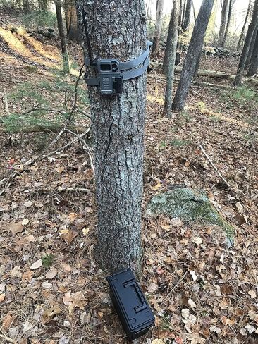 BareHill TrailCam 12V External Battery Box Cable Kit Compatible with Spypoint, Stealth Cam, Moultrie, Muddy Trail Camera 8FT 2Amp Fuse Female Spade Terminals in Saudi Arabia