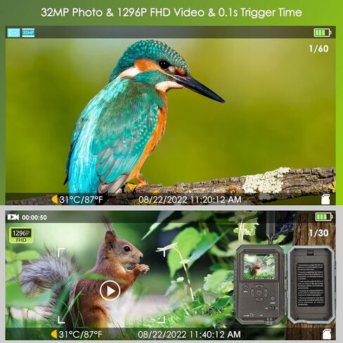 BLAZEVIDEO 48MP 1296P WiFi Trail & Game Camera with 0.1s Trigger Speed No Glow Night Vision Motion Activated IP66 Waterproof Wireless Hunting Cam with App for Wildlife Hunting, Yard Security in Kuwait