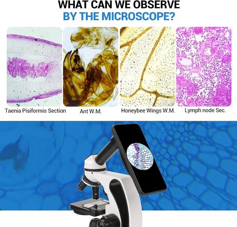 مجهر بيولوجي مع شرائح للبالغين، مجهر مركب 40X-2000X للطلاب، مجهر LED مزدوج مع محول الهاتف، مجموعة مجهر للأطفال، مجهر أحادي الرؤية للمختبر العلمية والدراسة المنزلية in Kuwait