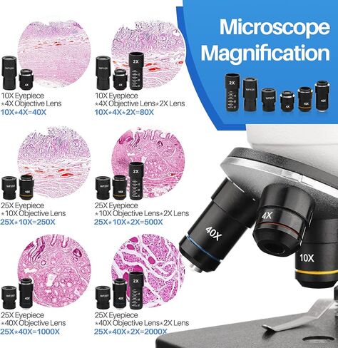 مجهر بيولوجي مع شرائح للبالغين، مجهر مركب 40X-2000X للطلاب، مجهر LED مزدوج مع محول الهاتف، مجموعة مجهر للأطفال، مجهر أحادي الرؤية للمختبر العلمية والدراسة المنزلية in Kuwait